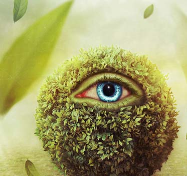 ddos攻击在哪能买到