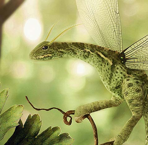 ddos攻击在哪能买到